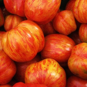 Tomate Tigrella