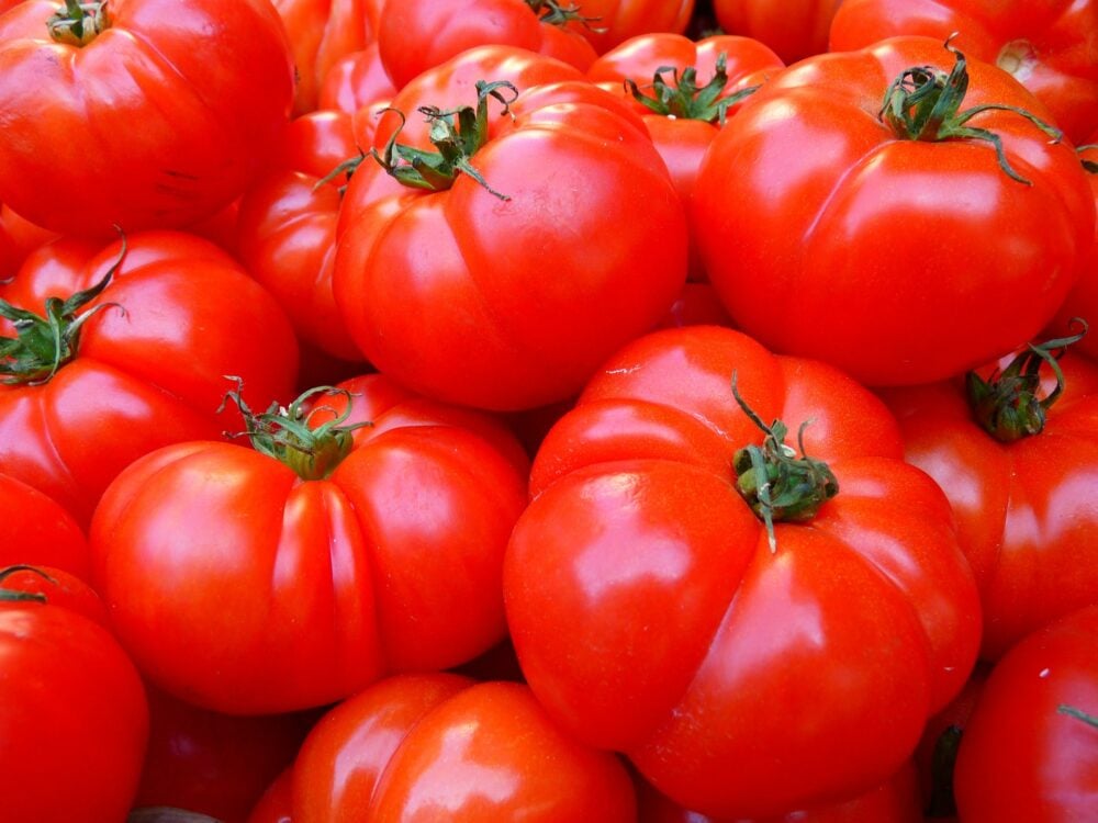 tomatoes-g0181f531e_1920