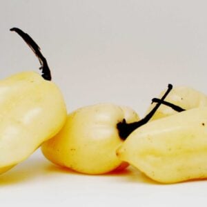 Piment White Fatality