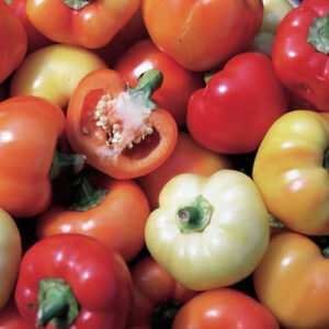 Hot Apple Alma Pepper