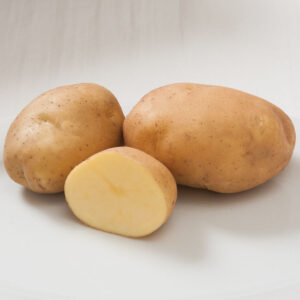 Ilona potato
