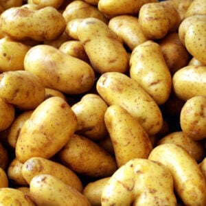 Pomme de terre l'impératrice
