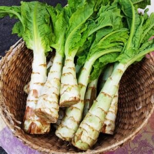 Asperge Celtuce