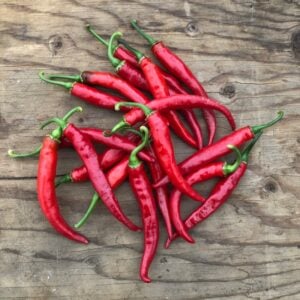 Piment Tabasco Original