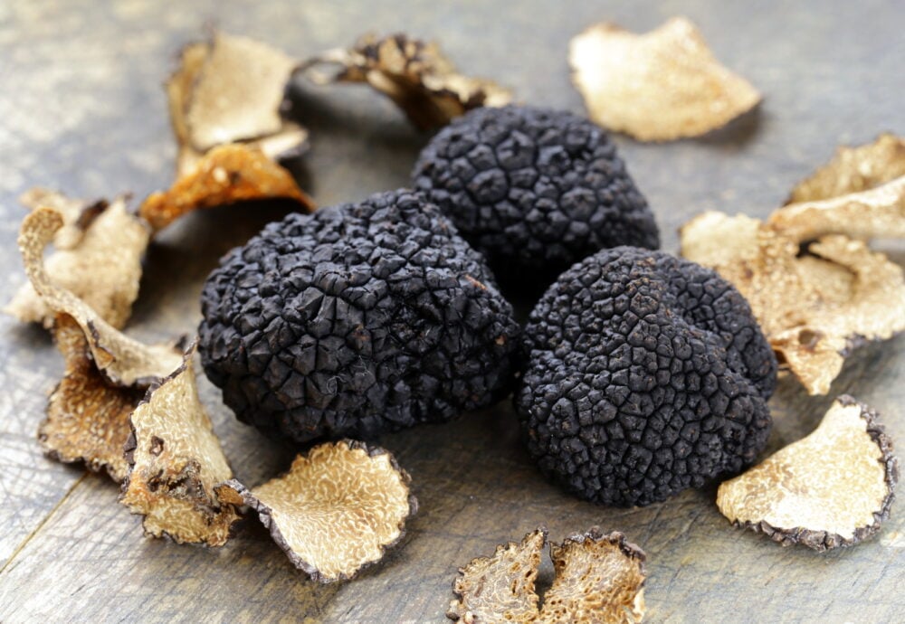 expensive rare black truffle mushroom - gourmet vegetable expensive rare black truffle mushroom - gourmet vegetable