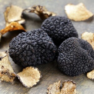 Black Truffle Mushroom