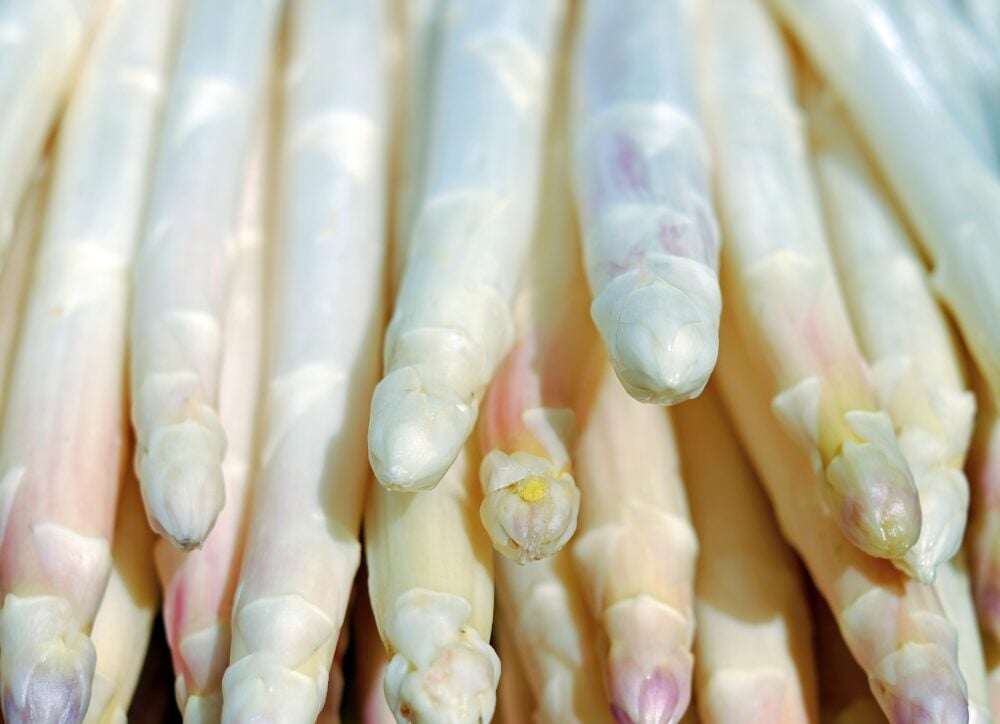 asparagus-g6bd52e105_1920