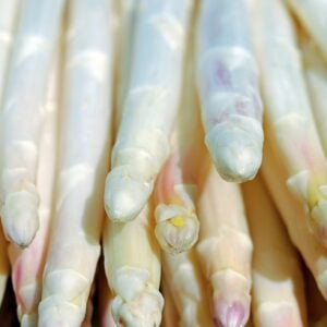 Asperge Blanche Neige