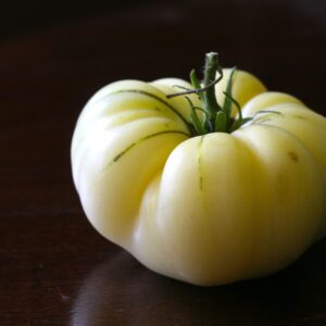 Tomate Ancestrale Le Grand Blanc