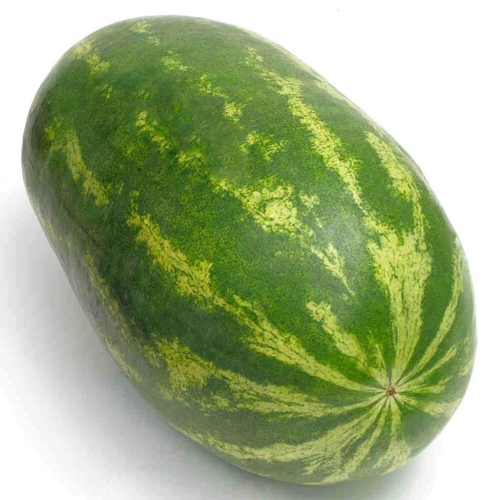 melondeaumonstredujardinsemencecanadaqc