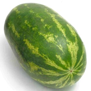 Melon d'eau Monstre du Jardin