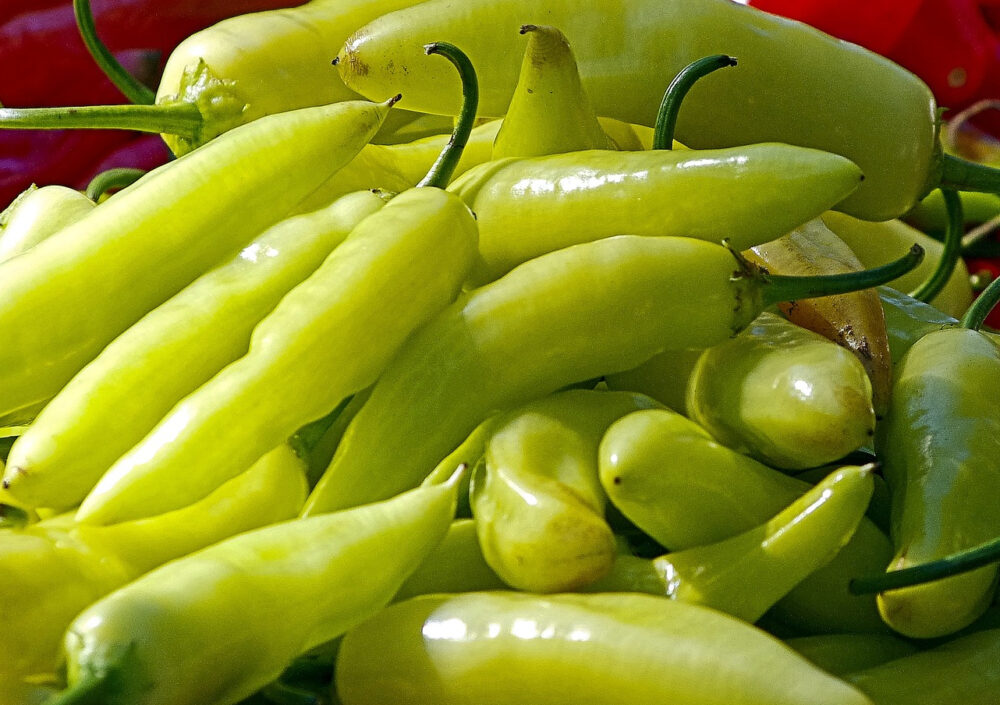 piment-banane-semence-canada-semences-piments-forts