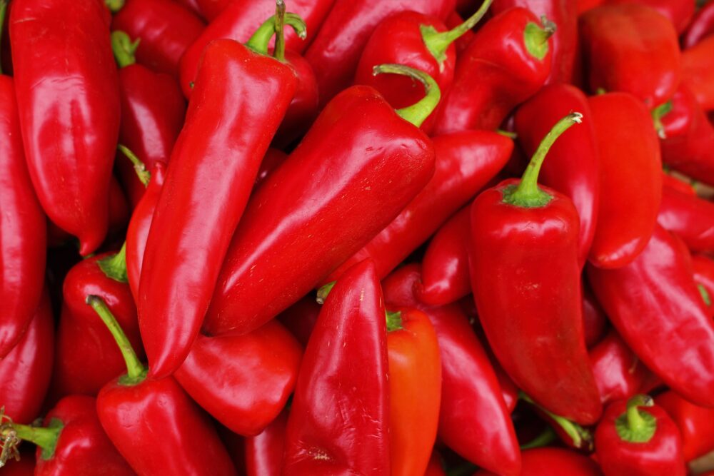 piment-fresno-semence-canada
