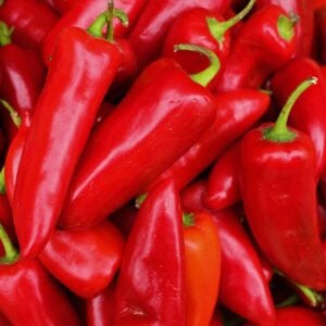 Piment Fresno