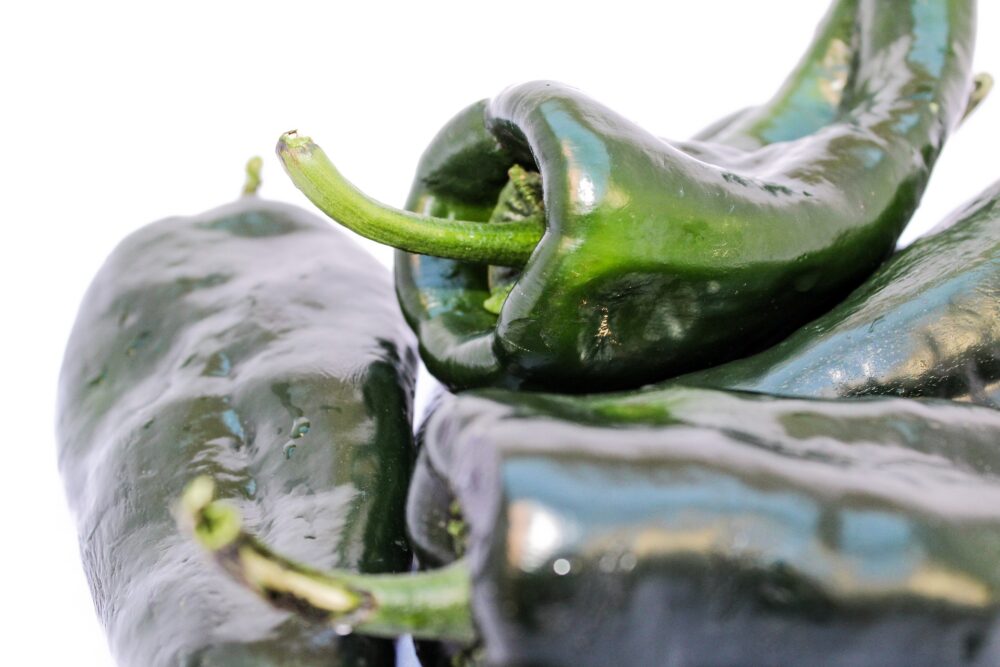 piment-poblano-semence-canada