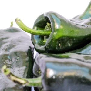 Piment Poblano