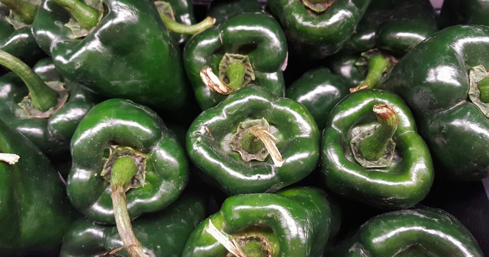 poblano-g45da7dcb7_1920