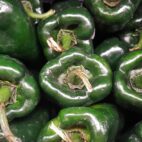 poblano-g45da7dcb7_1920