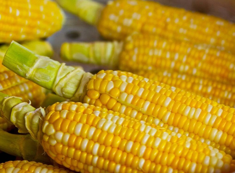 pop-corn-785074_1920 (1) pop-corn-785074_1920 (1)