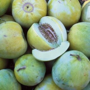 Melon Sakata sucré