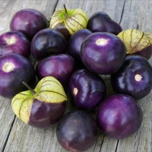 Tomatillo Mauve