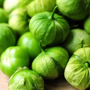 Tomatillo Vert