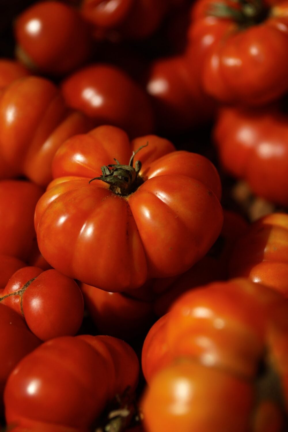 tomato-g310a3999e_1920 tomato-g310a3999e_1920