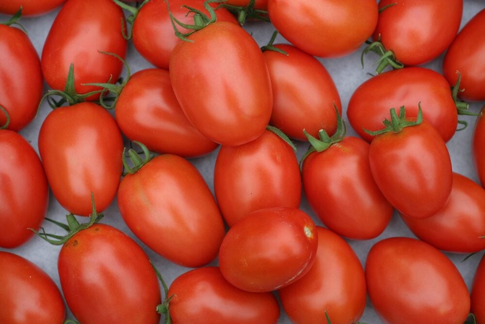 tomatoes-g39614be9a_1920
