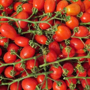 Tomate Sweetelle