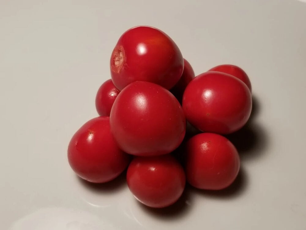 20180909_Litchi_Tomato_Garden_Berry_whole_1024x1024