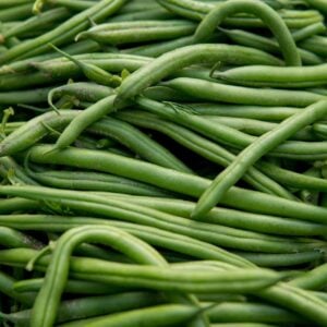 Haricot vert Blue Lake
