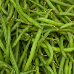 Haricot à Gousse Verte