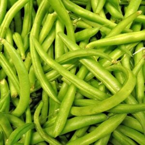 Haricot vert Concurrents