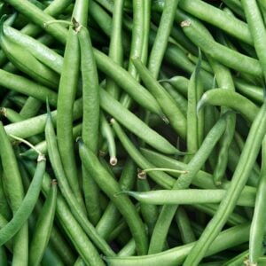 Haricot vert La Ruée verte