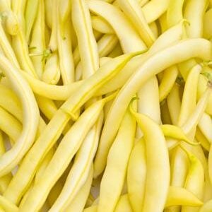 Haricot Jaunes Cherokee