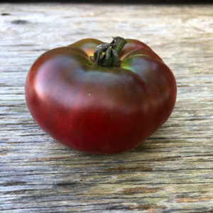 Tomate Carbone