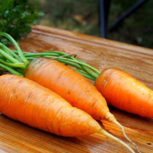 Carrote  Chantenay à noyau rouge