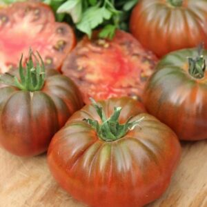 Brown Mikado Heirloom Tomato
