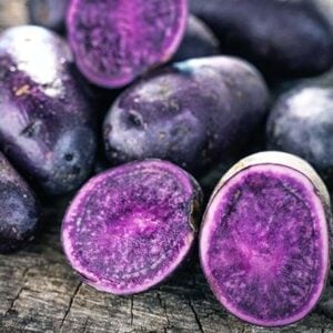Pomme de terre Purple Explosion