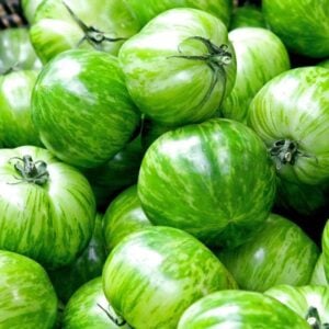 Zebra Green Tomato