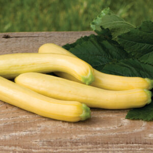 Zucchini Slick Pick
