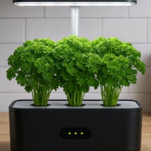 Persil Wega