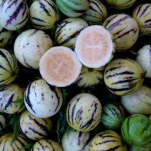 Mini Melon Tzimbalo