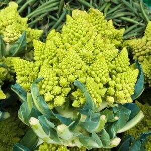 Chou-Fleur Romanesco