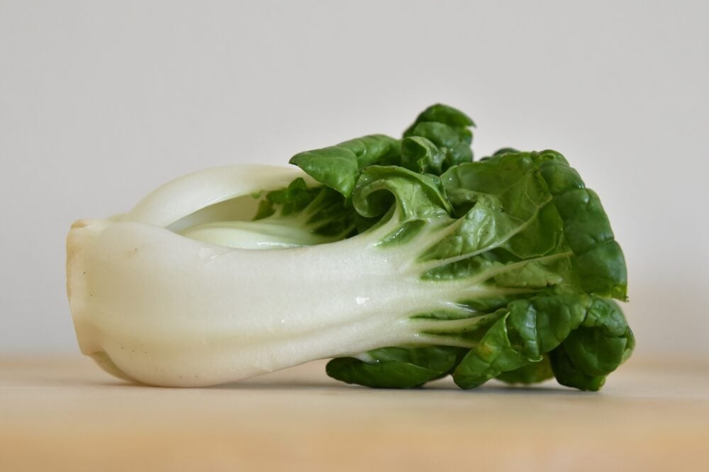 bok-choy-ge3b4ebbf8_1920 bok-choy-ge3b4ebbf8_1920