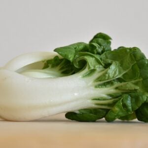 Bok Choy "Baby Milk"