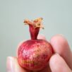 grenadiernainfruit