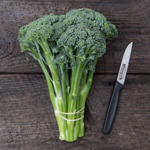 Brocoli Waltham 29