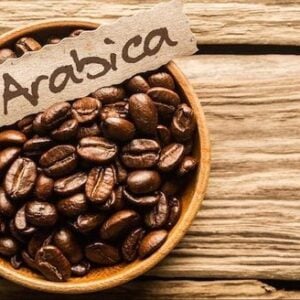 Café Arabica