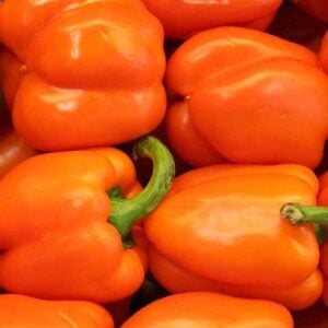 Poivron Orange Sweet Sunrise